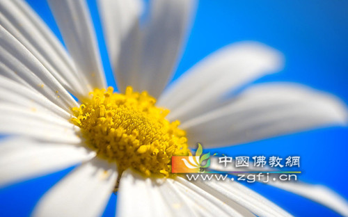 合理饮食可改善坏情绪.jpg