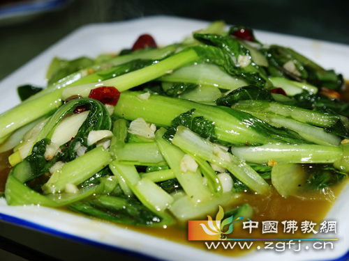 afb5808b0eeeddf6fc1f1001副本.jpg