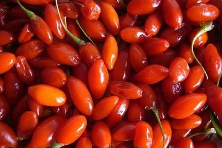 枸杞子怎样食用能达到长寿效果.jpg