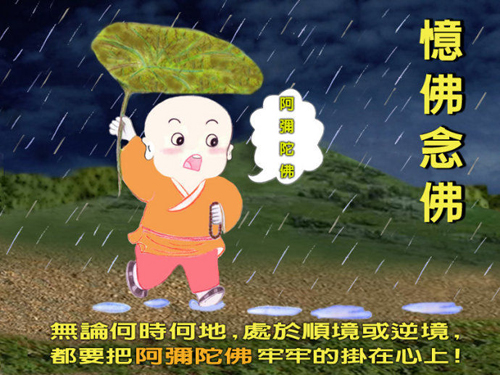 2010122039257505.jpg