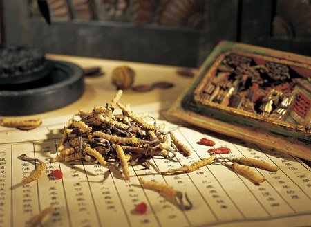 老中医不外传的十个长寿秘密