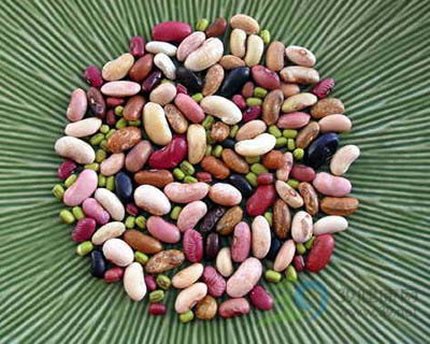 细数18种春季排毒食物