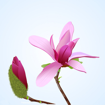 静坐也须念佛