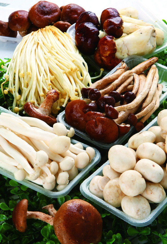 野生菌.jpg