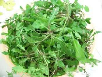 野菜养生功能