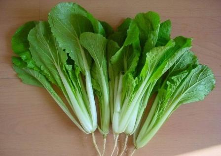 大白菜小白菜娃娃菜 哪个最好？