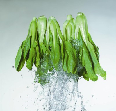 冬季养生十样菜