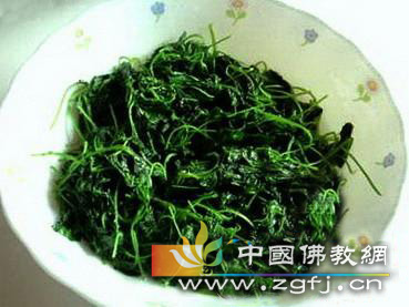 苜蓿副本.jpg