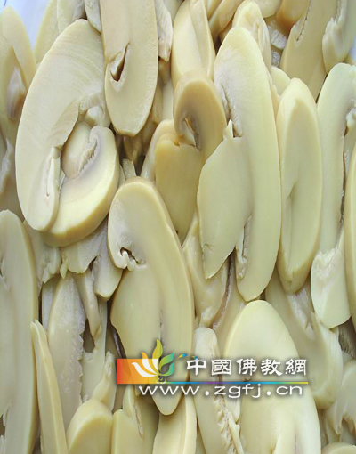蘑菇.jpg