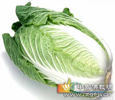 烂白菜.jpg