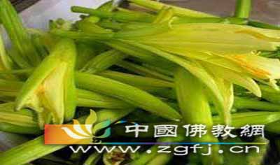 鲜黄花菜.jpg