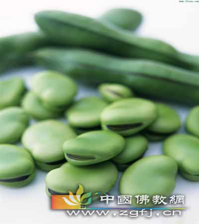 新鲜的蚕豆.jpg