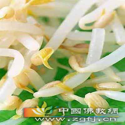 胖大的豆芽.jpg