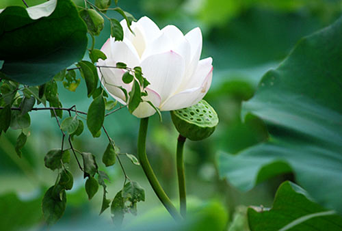 201071013548972.jpg