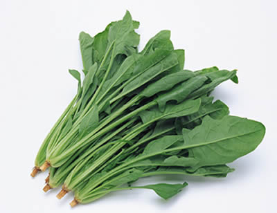 多吃菠菜眼睛更明亮