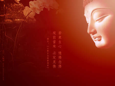 佛教徒为什么不能吃肉